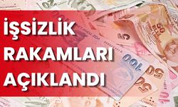 İşsizlik Rakamları Açıklandı