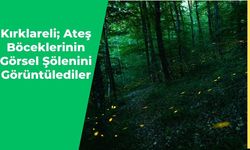 Kırklareli; Ateş Böceklerinin Görsel Şölenini Görüntülediler