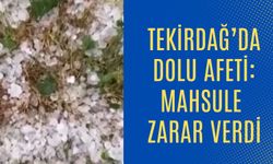 Tekirdağ'da Dolu Afeti: Mahsule Zarar Verdi