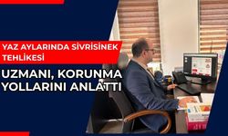 Yaz Aylarında Sivrisinek Tehlikesi: Uzmanı, Korunma Yollarını Anlattı
