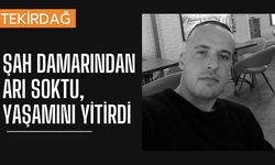 Şah Damarından Arı Soktu, Yaşamını Yitirdi