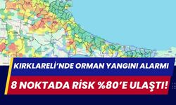 Kırklareli’nde Orman Yangını Alarmı: 8 Noktada Risk %80’e Ulaştı!