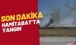 SON DAKİKA; Hamitabat’ta Yangın