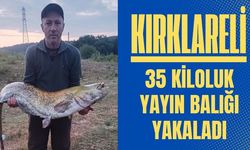 KIRKLARELİ; 35 Kiloluk Yayın Balığı Yakaladı