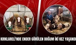 Kırklareli'nde Ender Görülen Doğum İki Kez Yaşandı