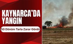 KAYNARCA’DA YANGIN; 50 Dönüm Tarla Zarar Gördü