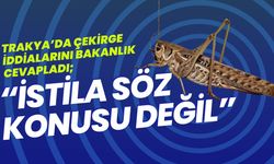 Trakya’da Çekirge İddialarını Bakanlık Cevapladı; “İstila Söz Konusu Değil”