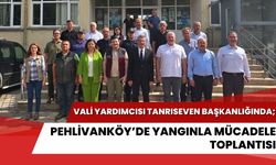 Vali Yardımcısı Tanrıseven Başkanlığında; Pehlivanköy’de Yangınla Mücadele Toplantısı