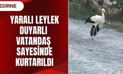 Yaralı Leylek Duyarlı Vatandaş Sayesinde Kurtarıldı