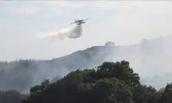 Trakya'da Bu Yaz Çıkan Orman Yangınlarında 32 Hektar Alan Zarar Gördü