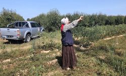 Babaeski’de Referans Parsel Tespiti Çalışmaları Sürüyor