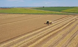 Tarımsal Girdi Fiyat Endeksi Haziran Verileri Açıklandı