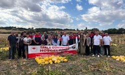 Lüleburgaz’da Çerezlik Kabak Çekirdeği Tarla Günü