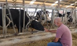 Robert Koleji Mezunu Girişimciden Yerli Sığır Yetiştiriciliğine Destek Hamlesi