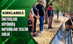 Kırklareli: Üreticilere Büyükbaş Hayvanları Teslim Edildi