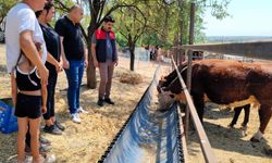 Kırklareli’nde "Kırsalda Bereket" Heyecanı