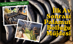 İlk Av Sonrası Palamut Bolluğu Müjdesi
