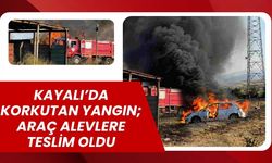 Kayalı’da Korkutan Yangın; Araç Alevlere Teslim Oldu