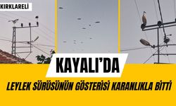 Kayalı’da Leylek Sürüsünün Gösterisi Karanlıkla Bitti