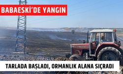 BABAESKİ’DE YANGIN; Tarlada Başladı, Ormanlık Alana Sıçradı