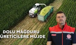 Dolu Mağduru Üreticilere Müjde