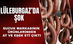 LÜLEBURGAZ'DA ŞOK; Sucuk Markasının Ürünlerinden At ve Eşek Eti Çıktı