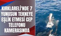 Kırklareli'nde 7 Yunusun Tekneye Eşlik Etmesi Cep Telefonu Kamerasında