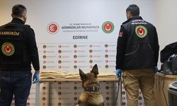 Kapıkule Sınır Kapısı'nda 50 Kilogram Uyuşturucu Ele Geçirildi