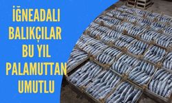 İğneadalı Balıkçılar Bu Yıl Palamuttan Umutlu