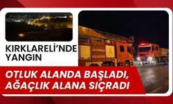 KIRKLARELİ'NDE YANGIN; Otluk Alanda Başladı, Ağaçlık Alana Sıçradı