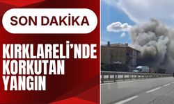 SON DAKİKA; Kırklareli’nde Korkutan Yangın