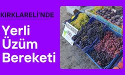 Kırklareli’nde Yerli Üzüm Bereketi