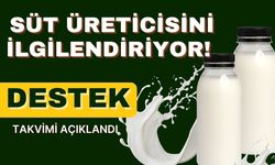 Süt Üreticisini İlgilendiriyor! Destek Takvimi Açıklandı