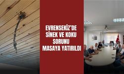Evrensekiz’de Sinek Ve Koku Sorunu Masaya Yatırıldı