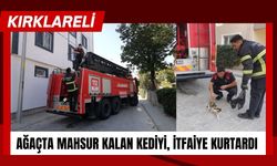 KIRKLARELİ; Ağaçta Mahsur Kalan Kediyi, İtfaiye Kurtardı