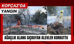 KOFÇAZ’DA YANGIN; Ağaçlık Alana Sıçrayan Alevler Korkuttu