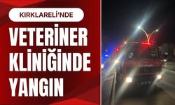 Kırklareli’nde Veteriner Kliniğinde Yangın