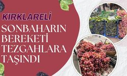 Kırklareli’nde Sonbaharın Bereketi Tezgahlara Taşındı