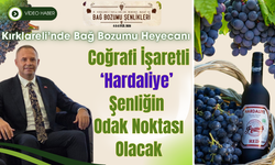 Kırklareli’nde Bağ Bozumu Heyecanı: Coğrafi İşaretli ‘Hardaliye’ Şenliğin Odak Noktası Olacak
