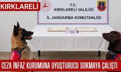 Kırklareli: Ceza İnfaz Kurumuna Uyuşturucu Sokmaya Çalıştı