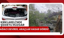 Kırklareli’nde Şiddetli Rüzgar Ağacı Devirdi, Araçlar Hasar Gördü