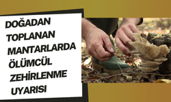 Doğadan toplanan mantarlarda ölümcül zehirlenme uyarısı