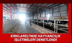 Kırklareli'nde Hayvancılık İşletmeleri Denetlendi