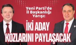 Yeni Parti'de İl Başkanlığı Yarışı: İki Aday Kozlarını Paylaşacak
