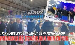 Kırklareli'nde Palamut ve Hamsi Bolluğu! Vatandaşlar Tezgahlara Akın Ediyor
