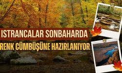 Istrancalar Sonbaharda Renk Cümbüşüne Hazırlanıyor