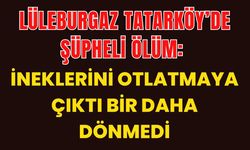 Lüleburgaz Tatarköy’de Şüpheli Ölüm: İneklerini Otlatmak İçin Evden Çıkmıştı