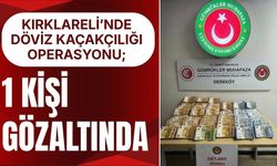 KIRKLARELİ’NDE DÖVİZ KAÇAKÇILIĞI OPERASYONU; 1 Kişi Gözaltında