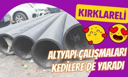 Kırklareli’nde Altyapı Çalışmaları, Kedilere De Yaradı