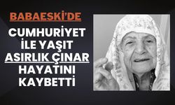 Babaeski'de Cumhuriyet İle Yaşıt Asırlık Çınar Hayatını Kaybetti